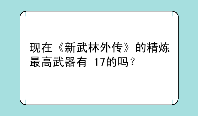 现在《新武林外传》的精炼最高武器有+17的吗？