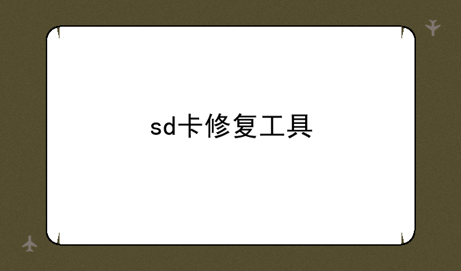 sd卡修复工具