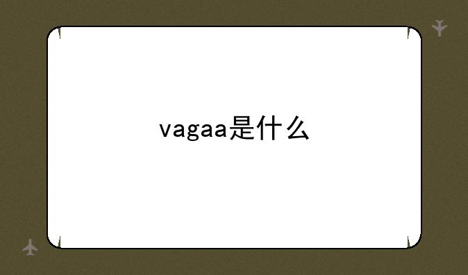 vagaa是什么