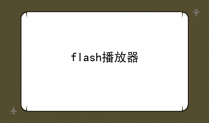 flash播放器