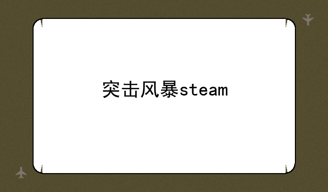 突击风暴steam