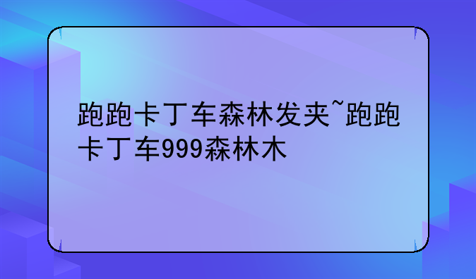 跑跑卡丁车森林发夹~跑跑卡丁车999森林木